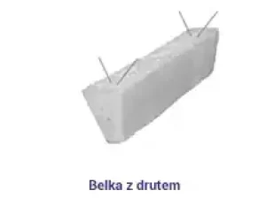 Belka_z_drutem
